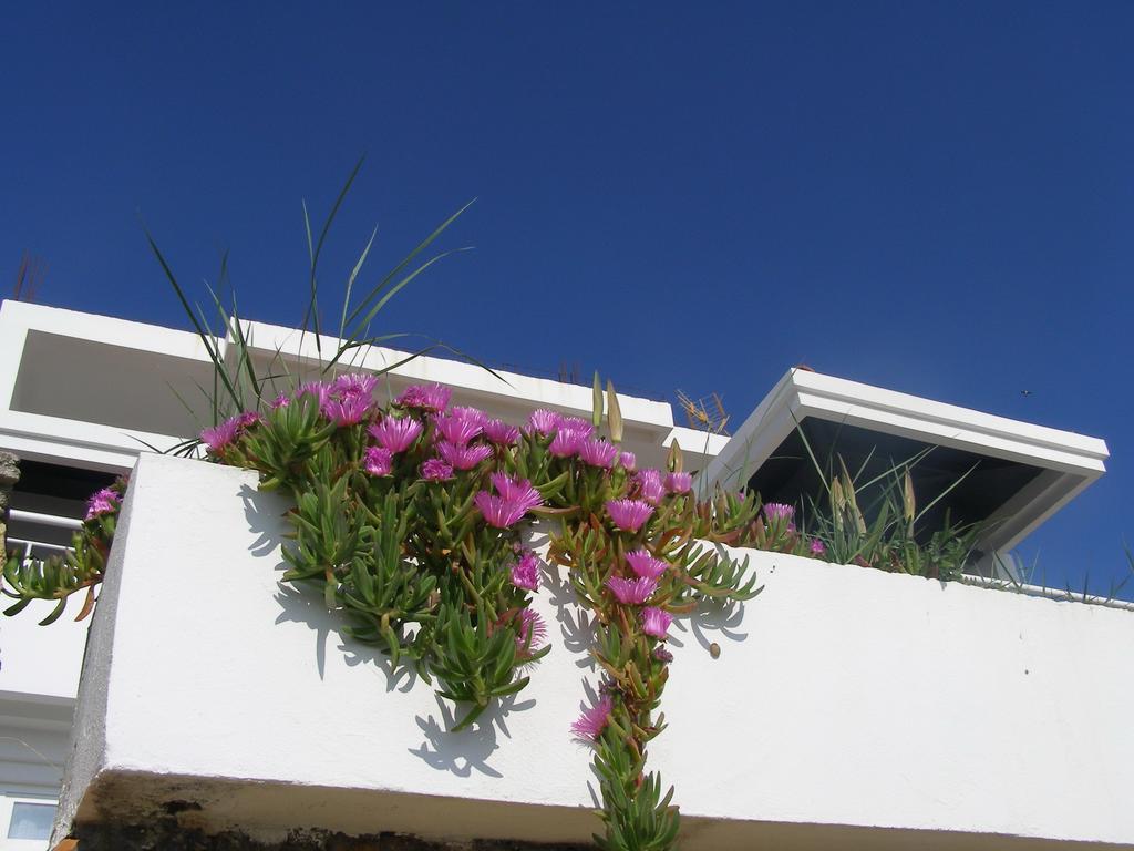 Palastura Apartments Ulcinj Exterior photo